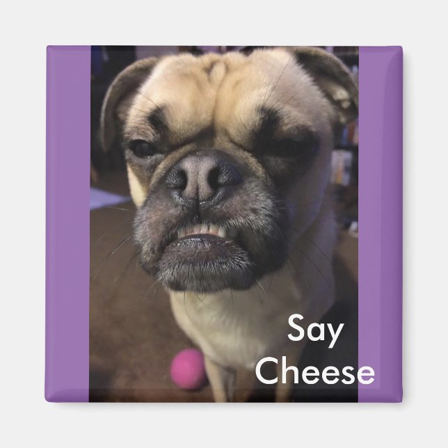 Say Cheese Magnet (Front)
