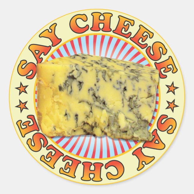 Say Cheese v3 Classic Round Sticker (Front)