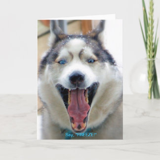 Say, "FREEZE" greeting card