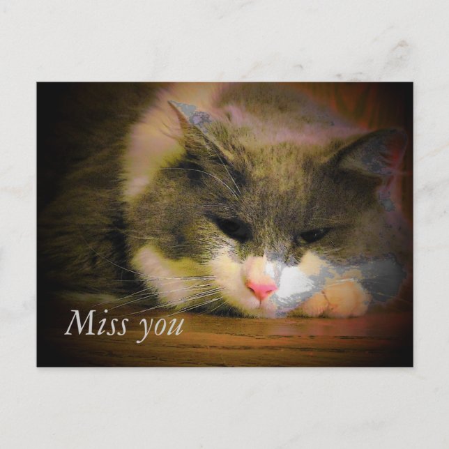 Say I Miss You With This Cute Sad Cat Postcard (Front)