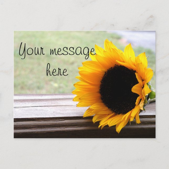Say it in Sunflowers Postcard (Front)
