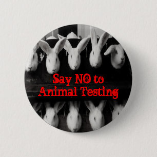Say No to Animal Testing 2 1/4" button pin