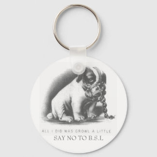 SAY NO TO B.S.L KEYCHAIN