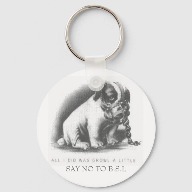 SAY NO TO B.S.L KEYCHAIN (Front)