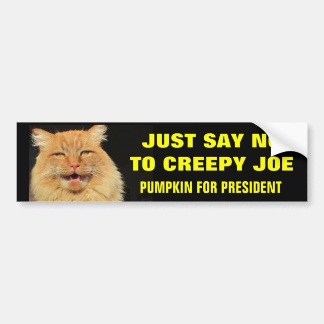 Say No To Creepy Joe Bumper Sticker (Front)