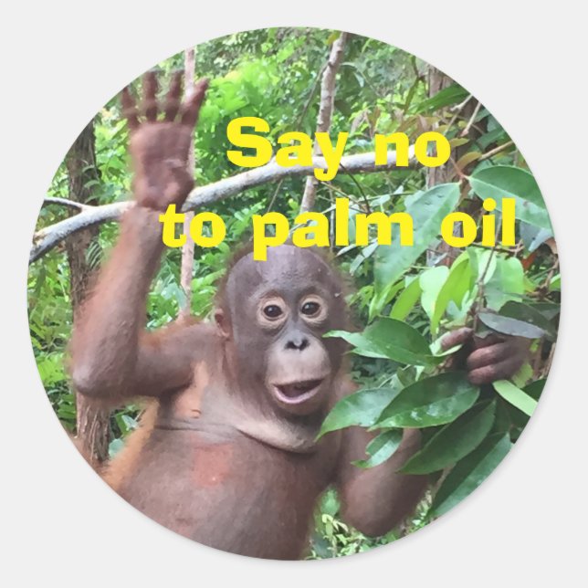Say No to Palm Oil Climate Change Classic Round Sticker (Front)
