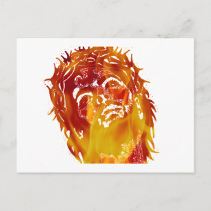 Say no to stupidity & ignorance. End. Postcard