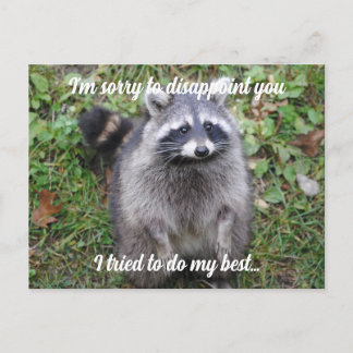 Say Sorry Raccoon Apologize  Postcard