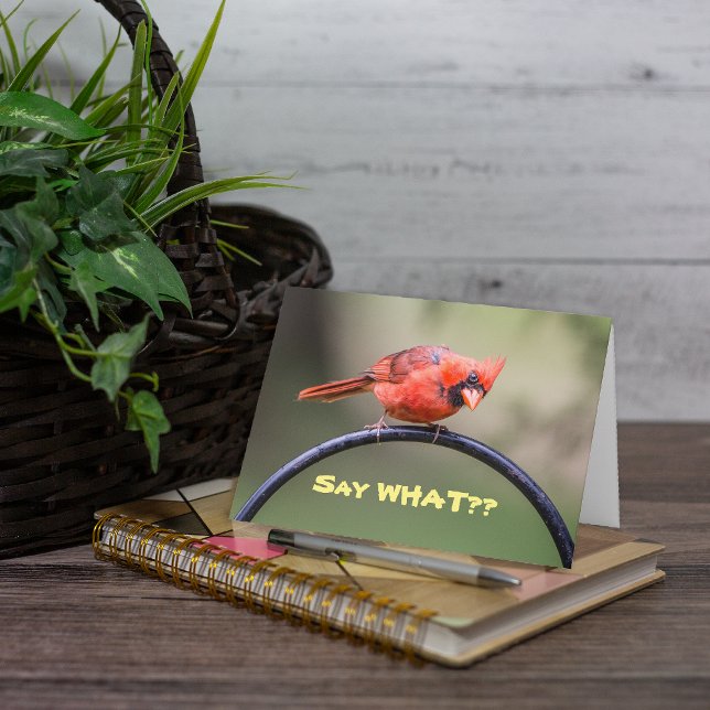 Say What? Notecard (This is a cute photo of a red Cardinal which lends itself well to a cute caption.)