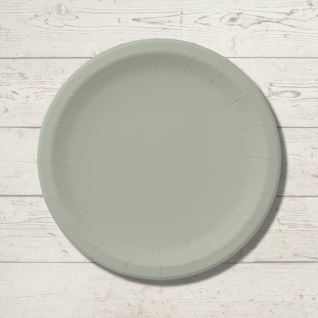 Saybrook Sage Solid Colour Paper Plate (Creator Uploaded)