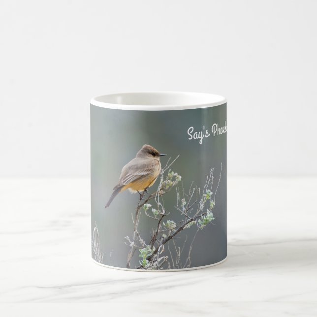 Say's Phoebe Coffee Mug (Center)
