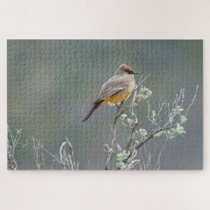Say's Phoebe in the Sage Jigsaw Puzzle
