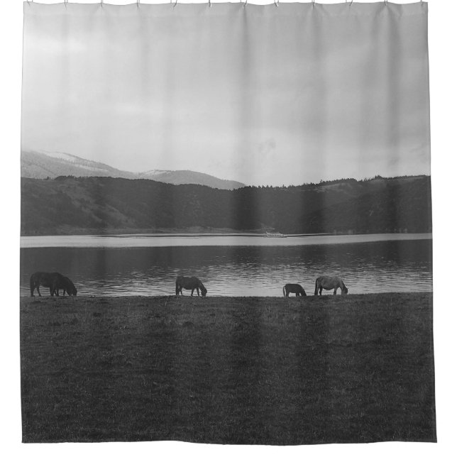 SCALE GREY PHOTOGRAPHY OF ANIMALS (Front)