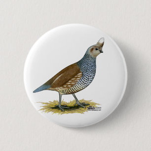 Scaled Quail 2 Inch Round Button