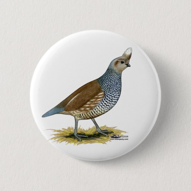 Scaled Quail 2 Inch Round Button (Front)