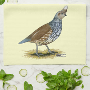 Scaled Quail Kitchen Towel