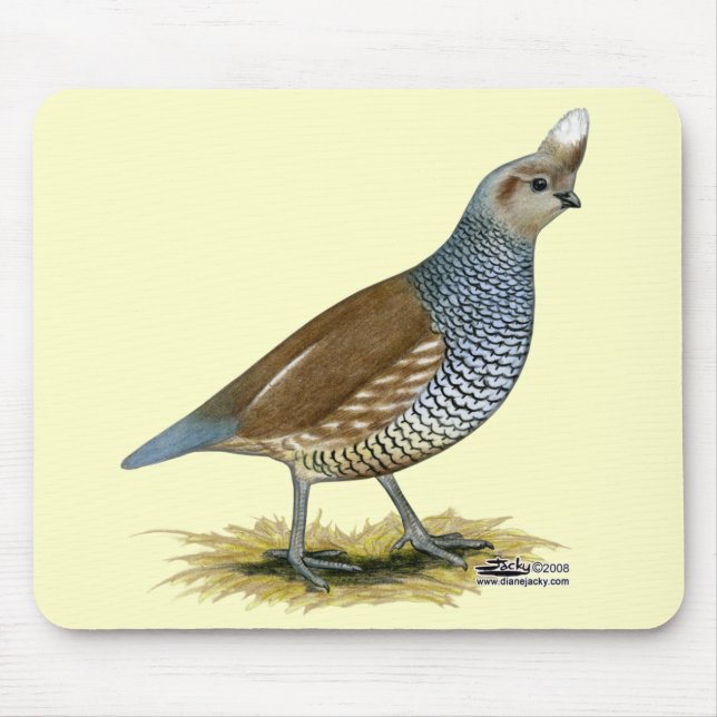 Scaled Quail Mouse Pad (Front)