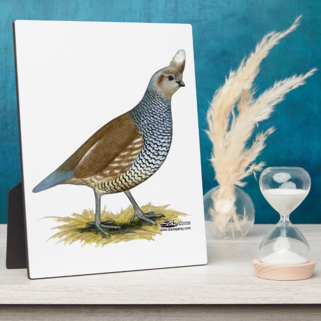Scaled Quail Plaque (Side)