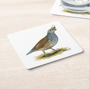 Scaled Quail Square Paper Coaster