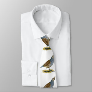 Scaled Quail Tie