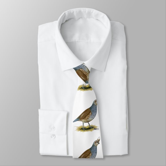 Scaled Quail Tie (Tied)