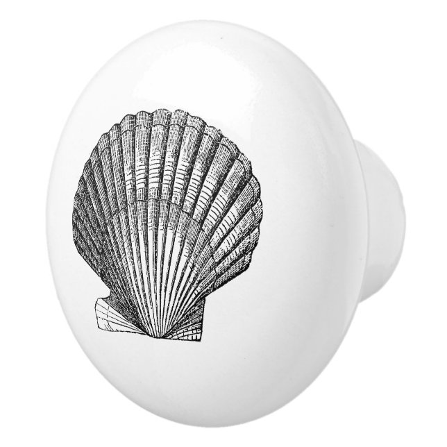 Scallop seashell shell nautical sea inspired decor ceramic knob (Right)