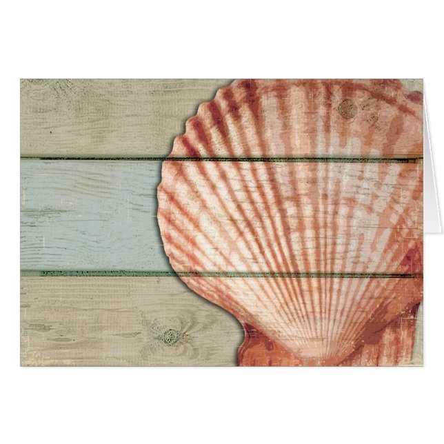 Scallop Shell (Front Horizontal)