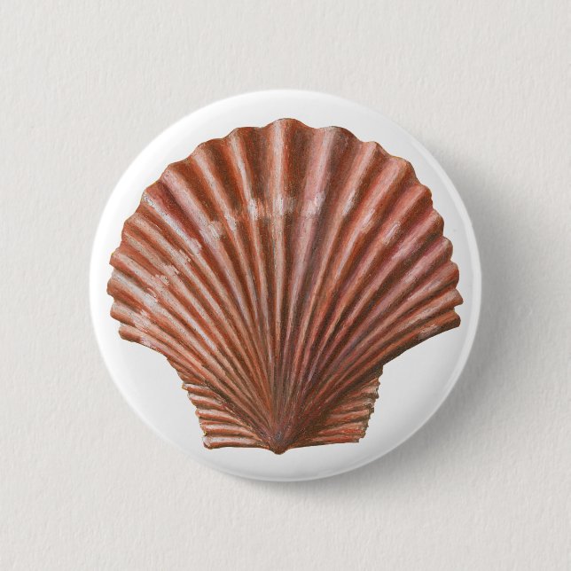 Scallop Shell 2 Inch Round Button (Front)