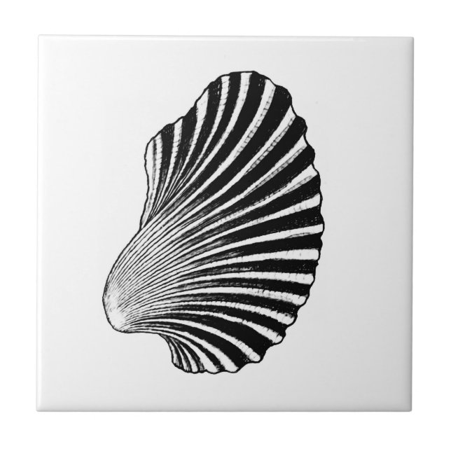 Scallop Shell Block Print, Black and White  Tile (Front)