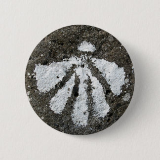 Scallop Shell Button