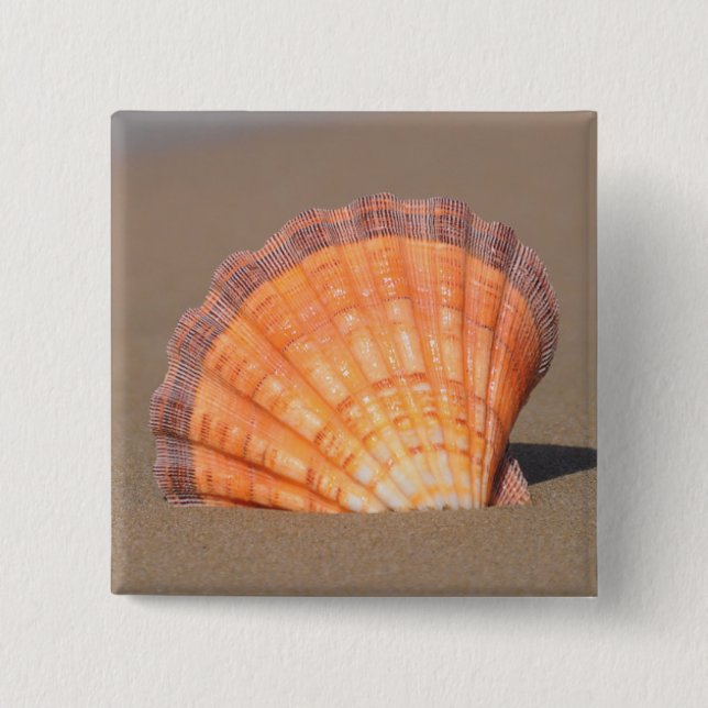 Scallop Shell| Crete, Greece 2 Inch Square Button (Front)