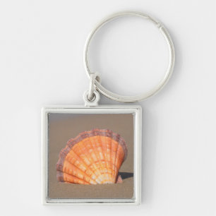Scallop Shell Crete, Greece Keychain