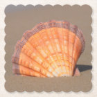 Scallop Shell| Crete, Greece