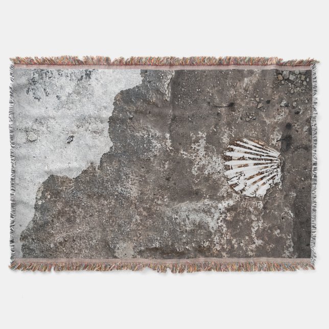 Scallop Shell Fossil Throw Blanket (Front)