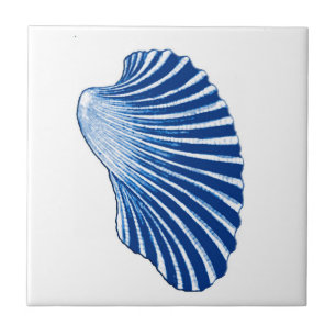 Scallop Shell, Indigo Blue and White Tile
