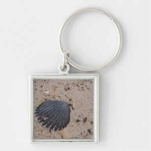Scallop Shell keyring