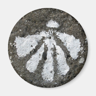 Scallop Shell Magnet