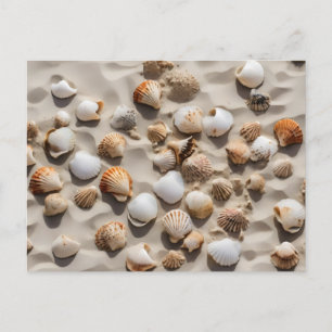 Scallop shells on sand postcard