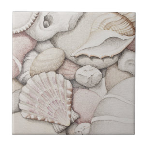 Scallop & Tibia Shells and Pebbles Ceramic Tile
