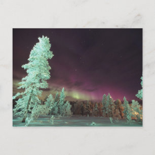 Scandinavia, Finland, Lapland, Kakslauttanen, Postcard