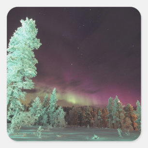 Scandinavia, Finland, Lapland, Kakslauttanen, Square Sticker