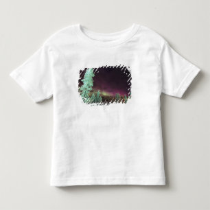 Scandinavia, Finland, Lapland, Kakslauttanen, Toddler T-shirt