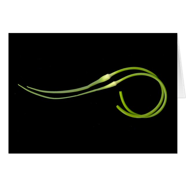 scape d'ail (Devant horizontal)