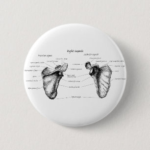 Scapula Details 2 Inch Round Button