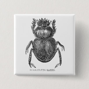 Scarab Beetle 2 Inch Square Button