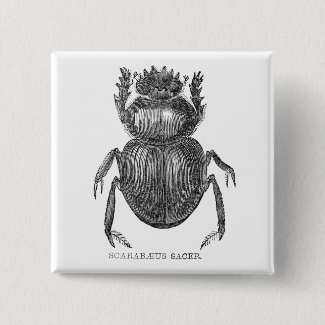 Scarab Beetle Vintage pen and ink drawing 2 Inch Square Button (Front)