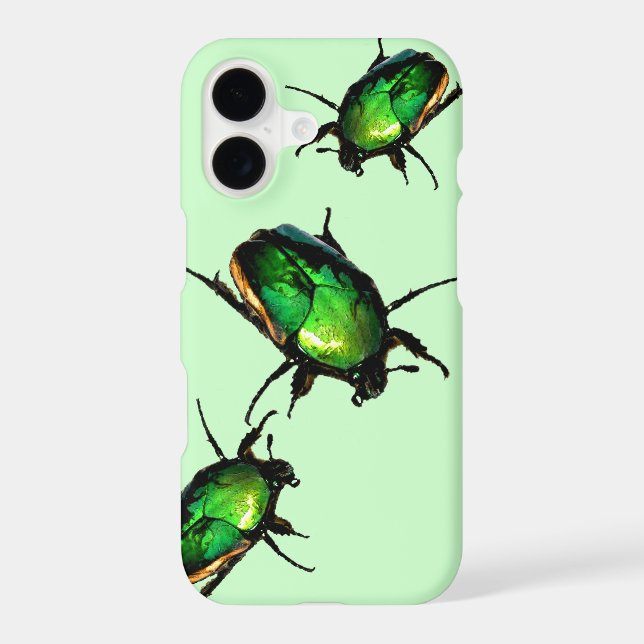 Scarab Beetles (Back)