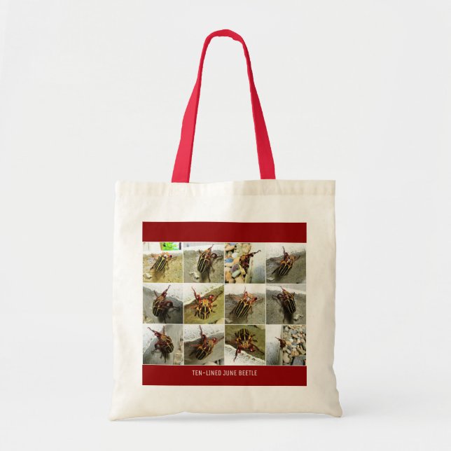Scarab June Beetle Insect Big Bug Tote Bag (Front)