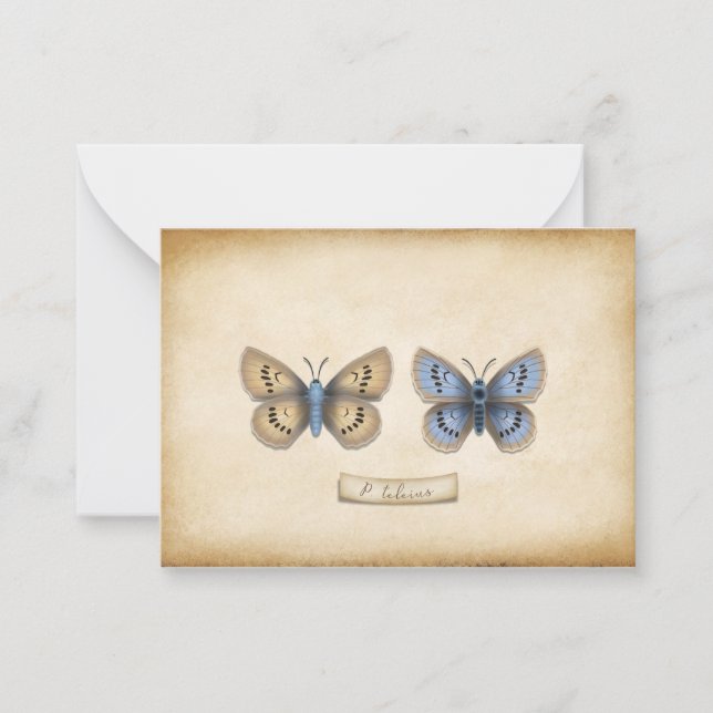 Scarce Large Blue Butterfly Specimen Customizable Card (Front)
