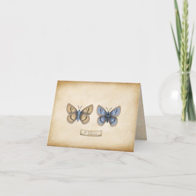 Scarce Large Blue Butterfly Specimen Customizable Note Card (Front)